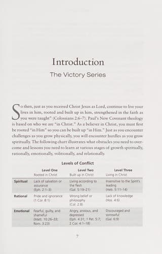 Cover of Your ultimate victory