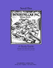 Cover of Interstellar Pig