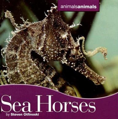 Cover of Seahorses