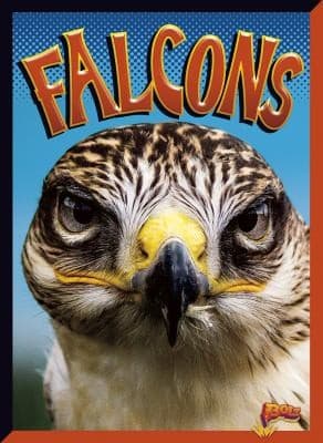 Cover of Falcons