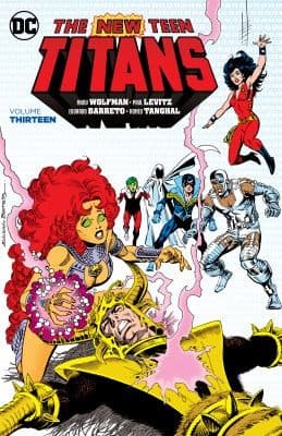Cover of New Teen Titans Vol. 13
