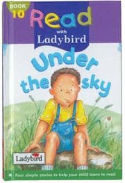 Cover of Under the Sky