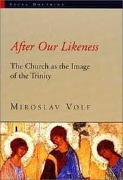 Cover of After Our Likeness