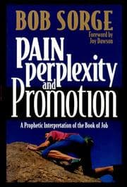 Cover of Pain, Perplexity & Promotion