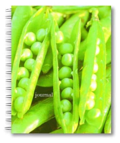 Cover of Barefoot Contessa Farm Stand Wire-O Bound Journal