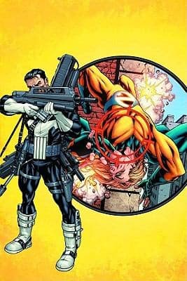 Cover of Punisher Dark Reign