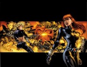 Cover of Black Widow The Itsybitsy Spider