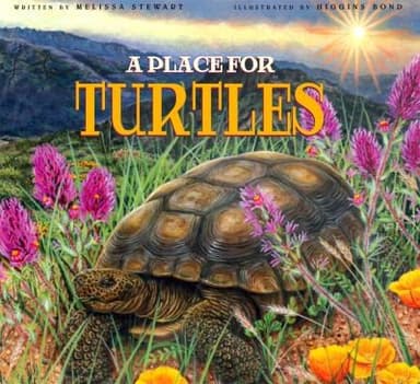 Cover of A Place For Turtles