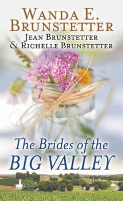 Cover of Brides of the Big Valley