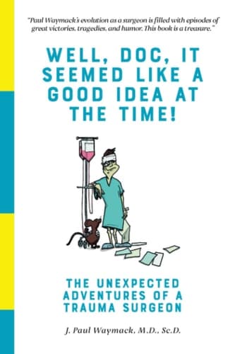 Cover of It Seemed Like a Good Idea