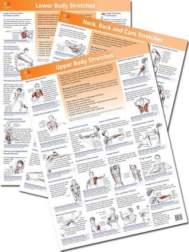 Cover of Stretching Posters
