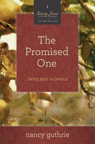 Cover of Promised One Pack