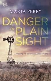Cover of Danger in Plain Sight (Large Print Edition)