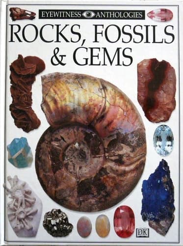 Cover of Rocks, Fossils and Gems