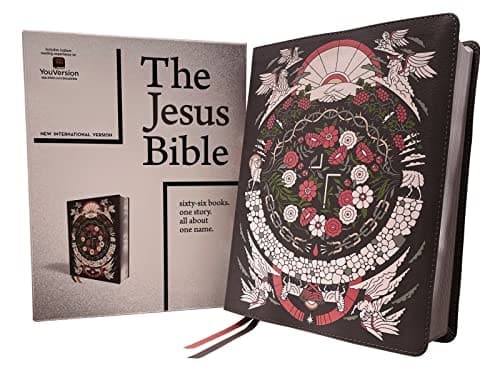 Cover of Jesus Bible Artist Edition, NIV, Leathersoft, Gray Floral, Comfort Print