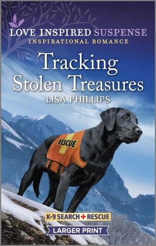 Cover of Tracking Stolen Treasures