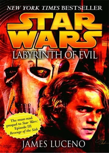 Cover from Star Wars Legends
