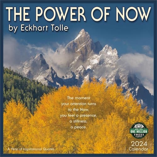 Cover of The Power of Now. Sila nastojaschego
