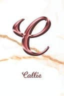 Cover of books