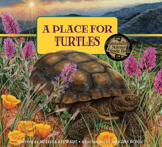 Cover of Place for Turtles