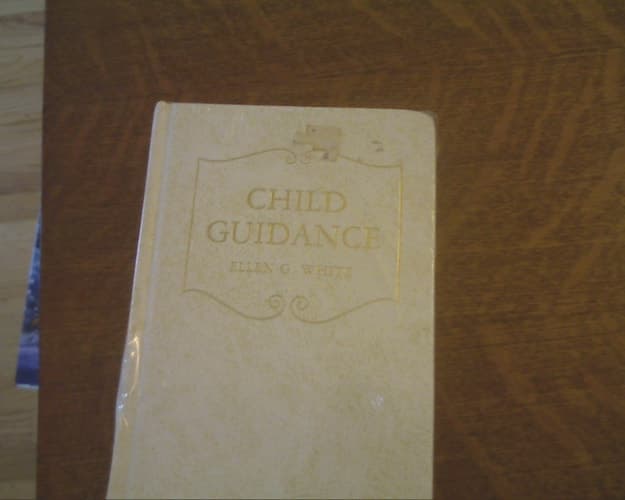 Cover of Child Guidance