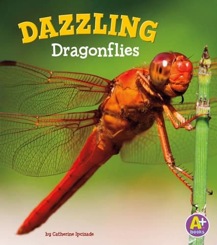 Cover of Dazzling Dragonflies