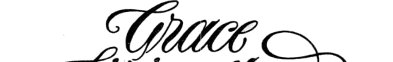 Cover of Beloved Stranger (Grace Livingston Hill Series, No. 44)
