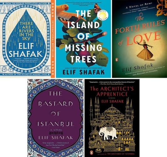 Cover of The Bastard of Istanbul