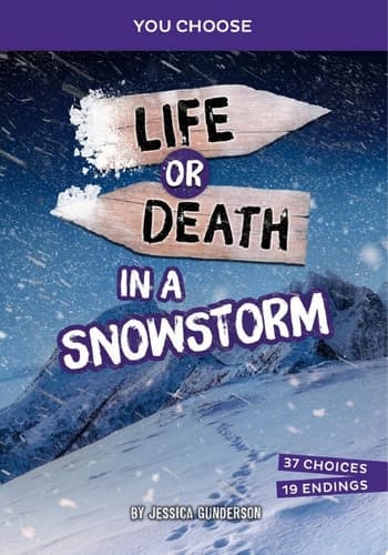 Cover of Life or Death in a Snowstorm